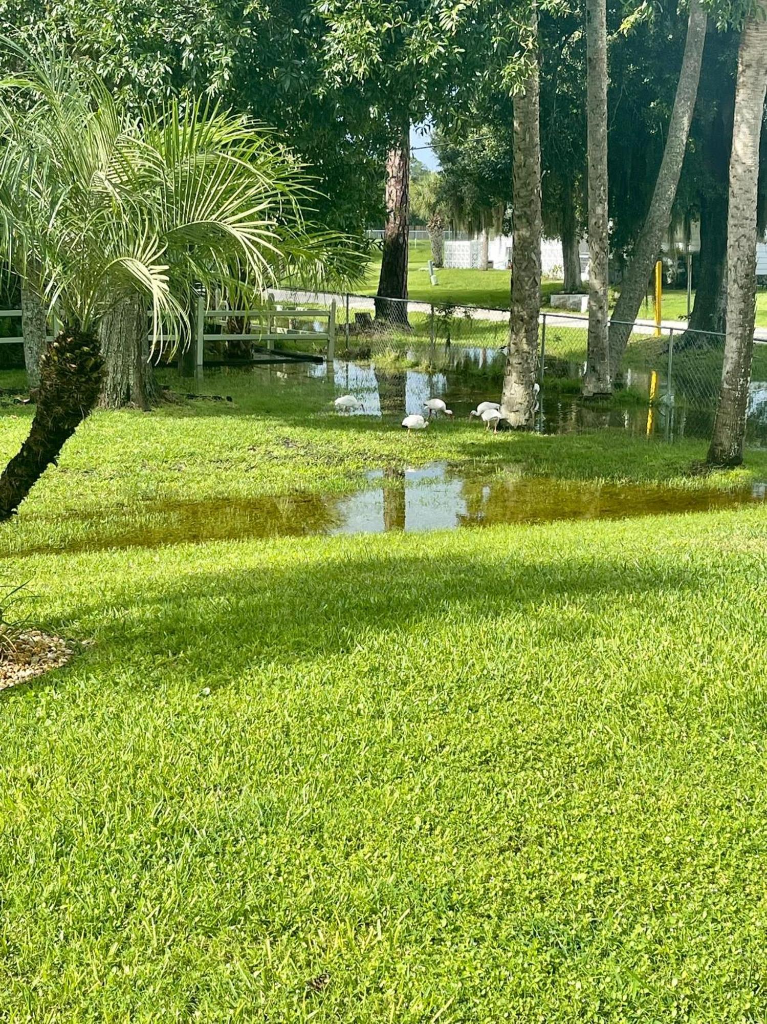 Sunny Oasis Getaway -Heated Pool-Mini Golf-Near Beach Нокомис Экстерьер фото